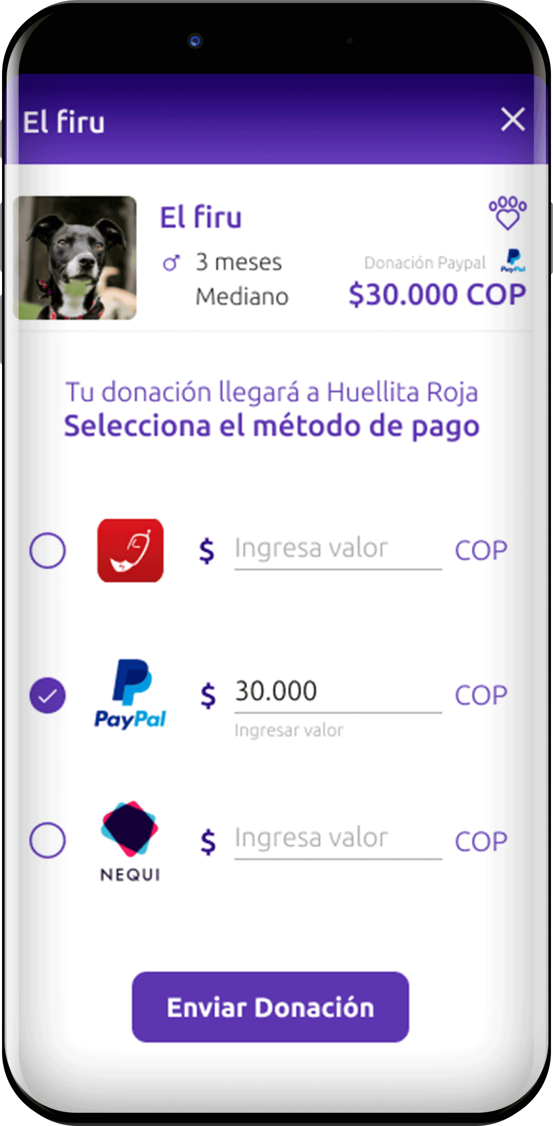 Huellitap - Donation page